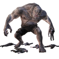 5nOC